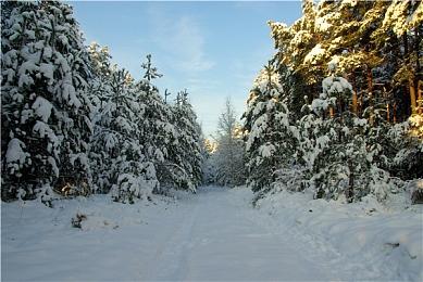 10月Steam Deck游玩游戏时间排行榜 《博德之门3》第一