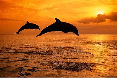 《战神：诸神黄昏》预告演示与实机对比 游戏画面缩水？